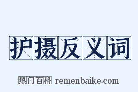 护摄反义词是什么意思的图片